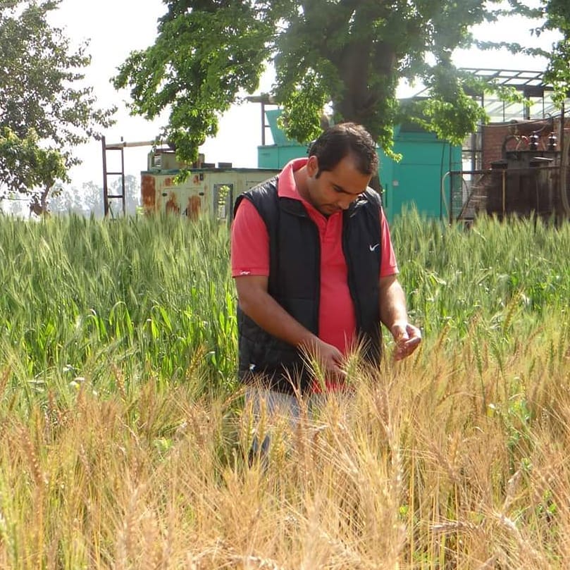 Portrait of bioinformatician Naveen Duhan